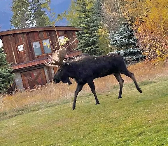 Gorgeous Jackson Hole In Location With Great Views And Private Deck With Barbeque! Appartement Wilson