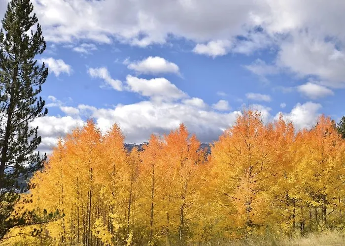 Gorgeous Jackson Hole In Location With Great Views And Private Deck With Barbeque! Appartement